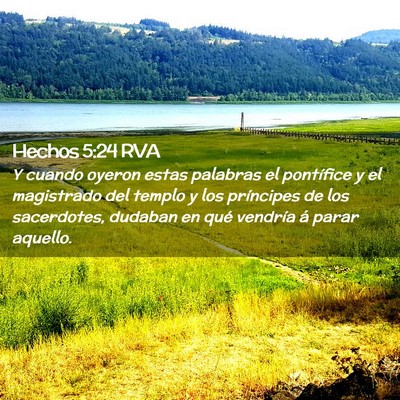 Picture 02 - Hechos 5:24 RVA - Y cuando oyeron estas palabras el pontífice y el - Bible Verse Picture