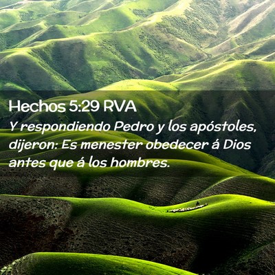 Picture 02 - Hechos 5:29 RVA - Y respondiendo Pedro y los apóstoles, dijeron: - Bible Verse Picture