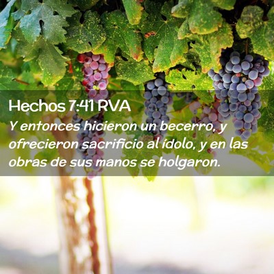 Picture 02 - Hechos 7:41 RVA - Y entonces hicieron un becerro, y ofrecieron - Bible Verse Picture