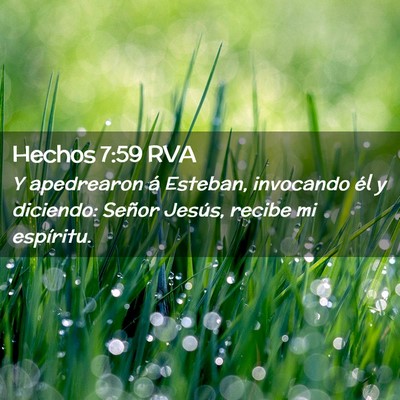 Picture 02 - Hechos 7:59 RVA - Y apedrearon á Esteban, invocando él y - Bible Verse Picture