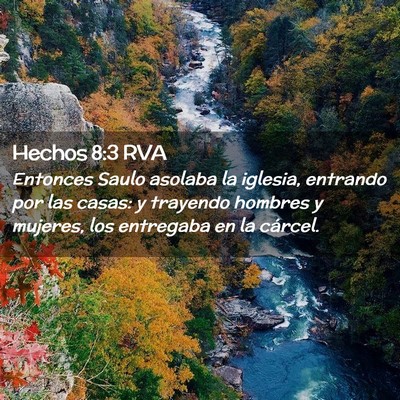 Picture 02 - Hechos 8:3 RVA - Entonces Saulo asolaba la iglesia, entrando por - Bible Verse Picture