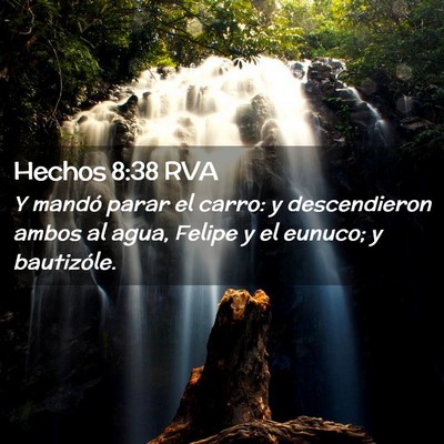 Picture 02 - Hechos 8:38 RVA - Y mandó parar el carro: y descendieron ambos al - Bible Verse Picture