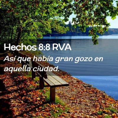 Picture 02 - Hechos 8:8 RVA - Así que había gran gozo en aquella - Bible Verse Picture