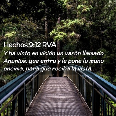 Picture 02 - Hechos 9:12 RVA - Y ha visto en visión un varón llamado Ananías, - Bible Verse Picture
