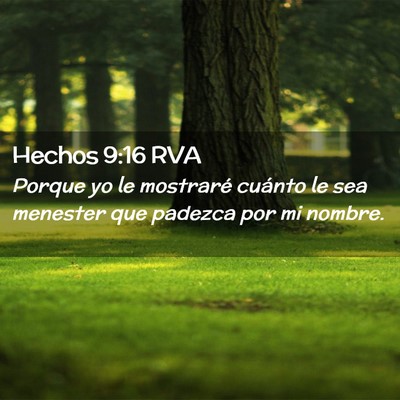 Picture 02 - Hechos 9:16 RVA - Porque yo le mostraré cuánto le sea menester - Bible Verse Picture