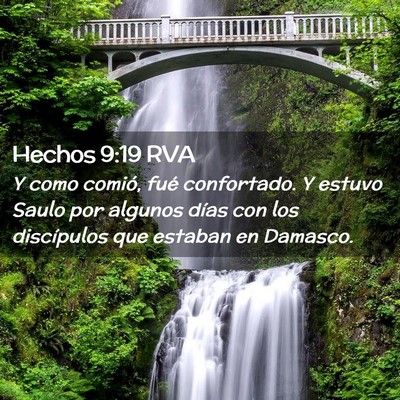 Picture 02 - Hechos 9:19 RVA - Y como comió, fué confortado. Y estuvo Saulo - Bible Verse Picture