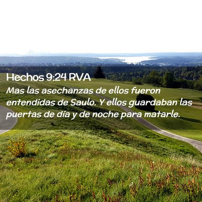 Picture 02 - Hechos 9:24 RVA - Mas las asechanzas de ellos fueron entendidas de - Bible Verse Picture