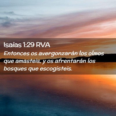 Picture 02 - Isaías 1:29 RVA - Entonces os avergonzarán los olmos que amasteis, - Bible Verse Picture