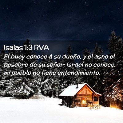 Picture 02 - Isaías 1:3 RVA - El buey conoce á su dueño, y el asno el pesebre - Bible Verse Picture