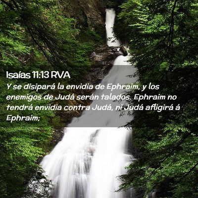 Picture 02 - Isaías 11:13 RVA - Y se disipará la envidia de Ephraim, y los - Bible Verse Picture