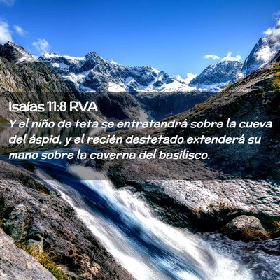 Picture 02 - Isaías 11:8 RVA - Y el niño de teta se entretendrá sobre la cueva - Bible Verse Picture
