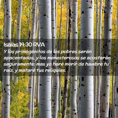 Picture 02 - Isaías 14:30 RVA - Y los primogénitos de los pobres serán - Bible Verse Picture