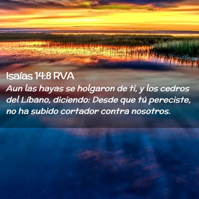 Picture 02 - Isaías 14:8 RVA - Aun las hayas se holgaron de ti, y los cedros del - Bible Verse Picture
