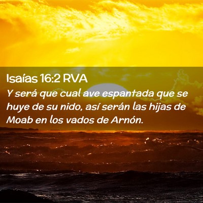 Picture 02 - Isaías 16:2 RVA - Y será que cual ave espantada que se huye de su - Bible Verse Picture