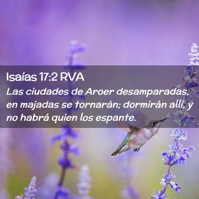 Picture 02 - Isaías 17:2 RVA - Las ciudades de Aroer desamparadas, en majadas se - Bible Verse Picture