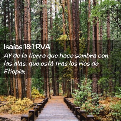 Picture 02 - Isaías 18:1 RVA - AY de la tierra que hace sombra con las alas, que - Bible Verse Picture