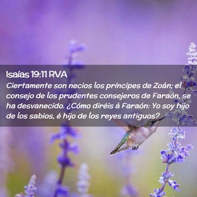 Picture 02 - Isaías 19:11 RVA - Ciertamente son necios los príncipes de Zoán; - Bible Verse Picture
