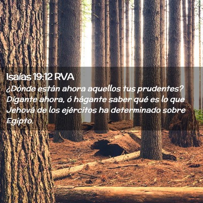 Picture 02 - Isaías 19:12 RVA - ¿Dónde están ahora aquellos tus prudentes? - Bible Verse Picture