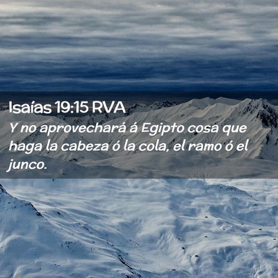 Picture 02 - Isaías 19:15 RVA - Y no aprovechará á Egipto cosa que haga la - Bible Verse Picture