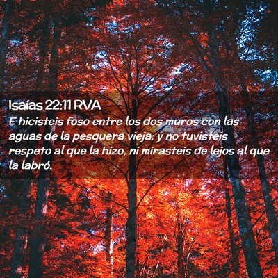 Picture 02 - Isaías 22:11 RVA - E hicisteis foso entre los dos muros con las - Bible Verse Picture