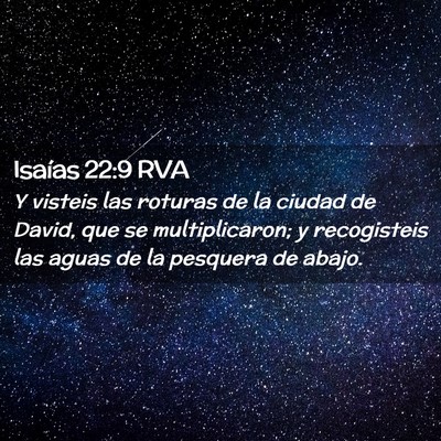 Picture 02 - Isaías 22:9 RVA - Y visteis las roturas de la ciudad de David, que - Bible Verse Picture