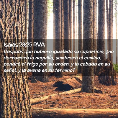 Picture 02 - Isaías 28:25 RVA - Después que hubiere igualado su superficie, ¿no - Bible Verse Picture