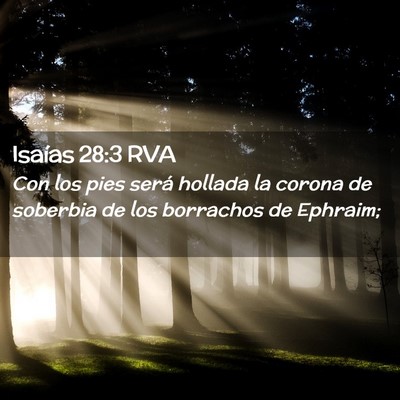 Picture 02 - Isaías 28:3 RVA - Con los pies será hollada la corona de soberbia - Bible Verse Picture