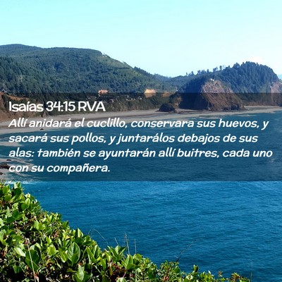 Picture 02 - Isaías 34:15 RVA - Allí anidará el cuclillo, conservara sus - Bible Verse Picture