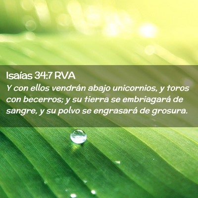 Picture 02 - Isaías 34:7 RVA - Y con ellos vendrán abajo unicornios, y toros - Bible Verse Picture