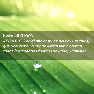 Picture 02 - Isaías 36:1 RVA - ACONTECIO en el año catorce del rey Ezechîas, - Bible Verse Picture