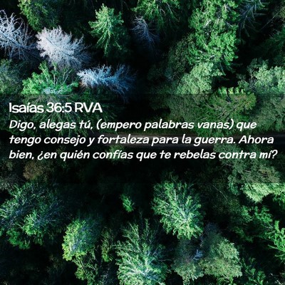 Picture 02 - Isaías 36:5 RVA - Digo, alegas tú, (empero palabras vanas) que - Bible Verse Picture