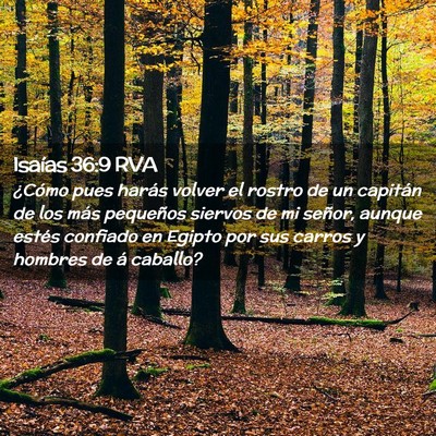 Picture 02 - Isaías 36:9 RVA - ¿Cómo pues harás volver el rostro de un - Bible Verse Picture