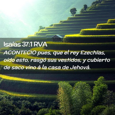 Picture 02 - Isaías 37:1 RVA - ACONTECIO pues, que el rey Ezechîas, oído esto, - Bible Verse Picture