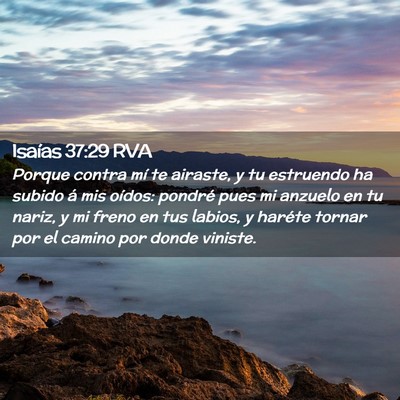 Picture 02 - Isaías 37:29 RVA - Porque contra mí te airaste, y tu estruendo ha - Bible Verse Picture