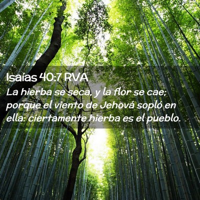 Picture 02 - Isaías 40:7 RVA - La hierba se seca, y la flor se cae; porque el - Bible Verse Picture
