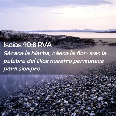 Picture 02 - Isaías 40:8 RVA - Sécase la hierba, cáese la flor: mas la palabra - Bible Verse Picture