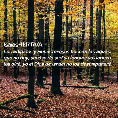 Picture 02 - Isaías 41:17 RVA - Los afligidos y menesterosos buscan las aguas, - Bible Verse Picture