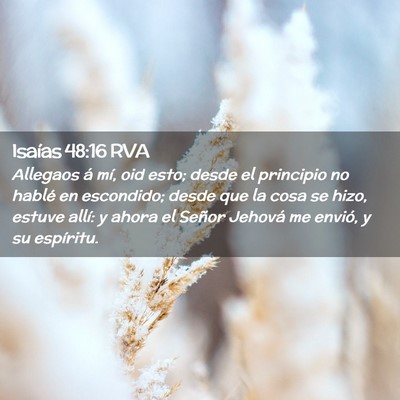 Picture 02 - Isaías 48:16 RVA - Allegaos á mí, oid esto; desde el principio no - Bible Verse Picture