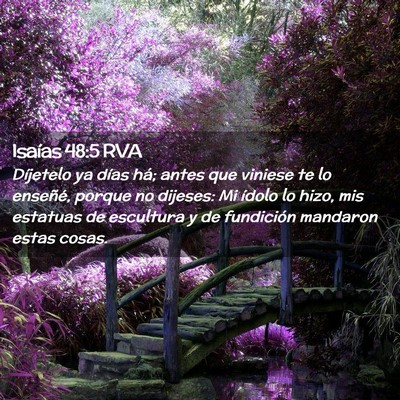Picture 02 - Isaías 48:5 RVA - Díjetelo ya días há; antes que viniese te lo - Bible Verse Picture