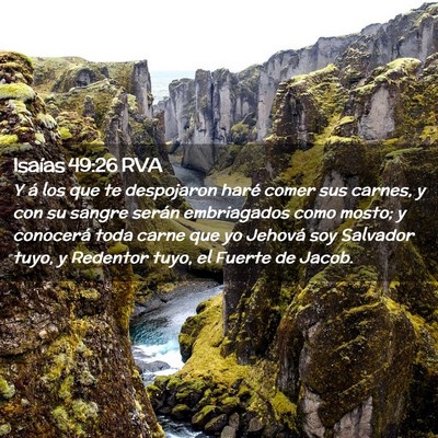 Picture 02 - Isaías 49:26 RVA - Y á los que te despojaron haré comer sus - Bible Verse Picture