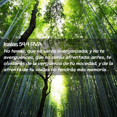 Picture 02 - Isaías 54:4 RVA - No temas, que no serás avergonzada; y no te - Bible Verse Picture