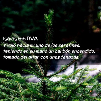 Picture 02 - Isaías 6:6 RVA - Y voló hacia mí uno de los serafines, teniendo - Bible Verse Picture