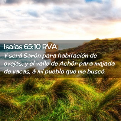 Picture 02 - Isaías 65:10 RVA - Y será Sarón para habitación de ovejas, y el - Bible Verse Picture