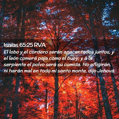 Picture 02 - Isaías 65:25 RVA - El lobo y el cordero serán apacentados juntos, y - Bible Verse Picture