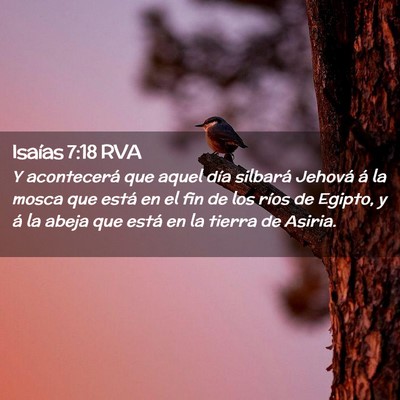 Picture 02 - Isaías 7:18 RVA - Y acontecerá que aquel día silbará Jehová á - Bible Verse Picture