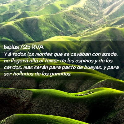Picture 02 - Isaías 7:25 RVA - Y á todos los montes que se cavaban con azada, - Bible Verse Picture
