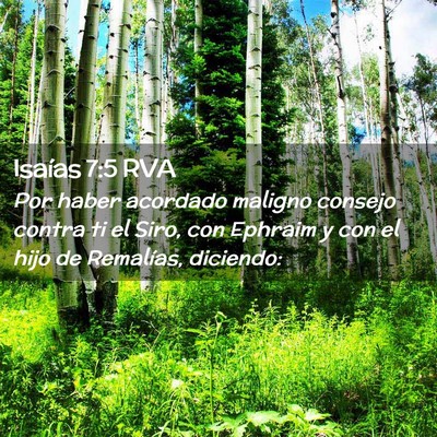 Picture 02 - Isaías 7:5 RVA - Por haber acordado maligno consejo contra ti el - Bible Verse Picture