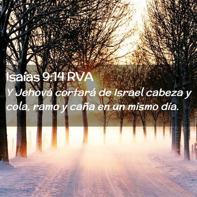 Picture 02 - Isaías 9:14 RVA - Y Jehová cortará de Israel cabeza y cola, ramo - Bible Verse Picture