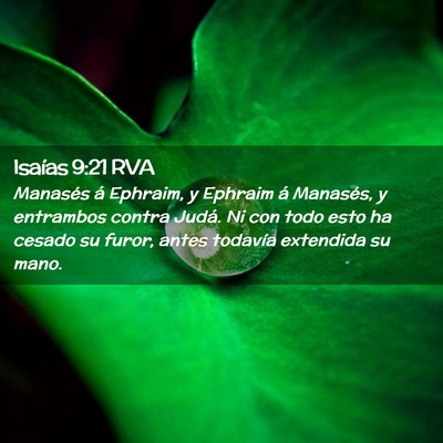 Picture 02 - Isaías 9:21 RVA - Manasés á Ephraim, y Ephraim á Manasés, y - Bible Verse Picture