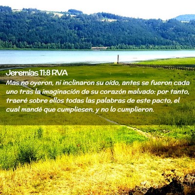 Picture 02 - Jeremías 11:8 RVA - Mas no oyeron, ni inclinaron su oído, antes se - Bible Verse Picture